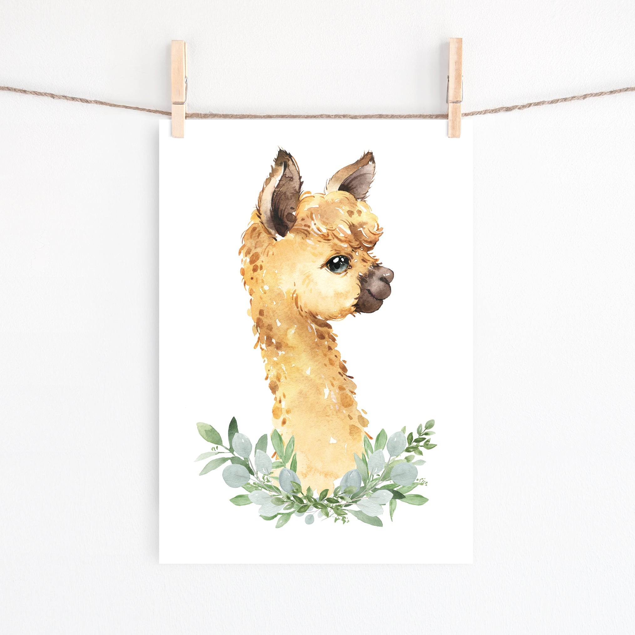 Baby Alpaca Print
