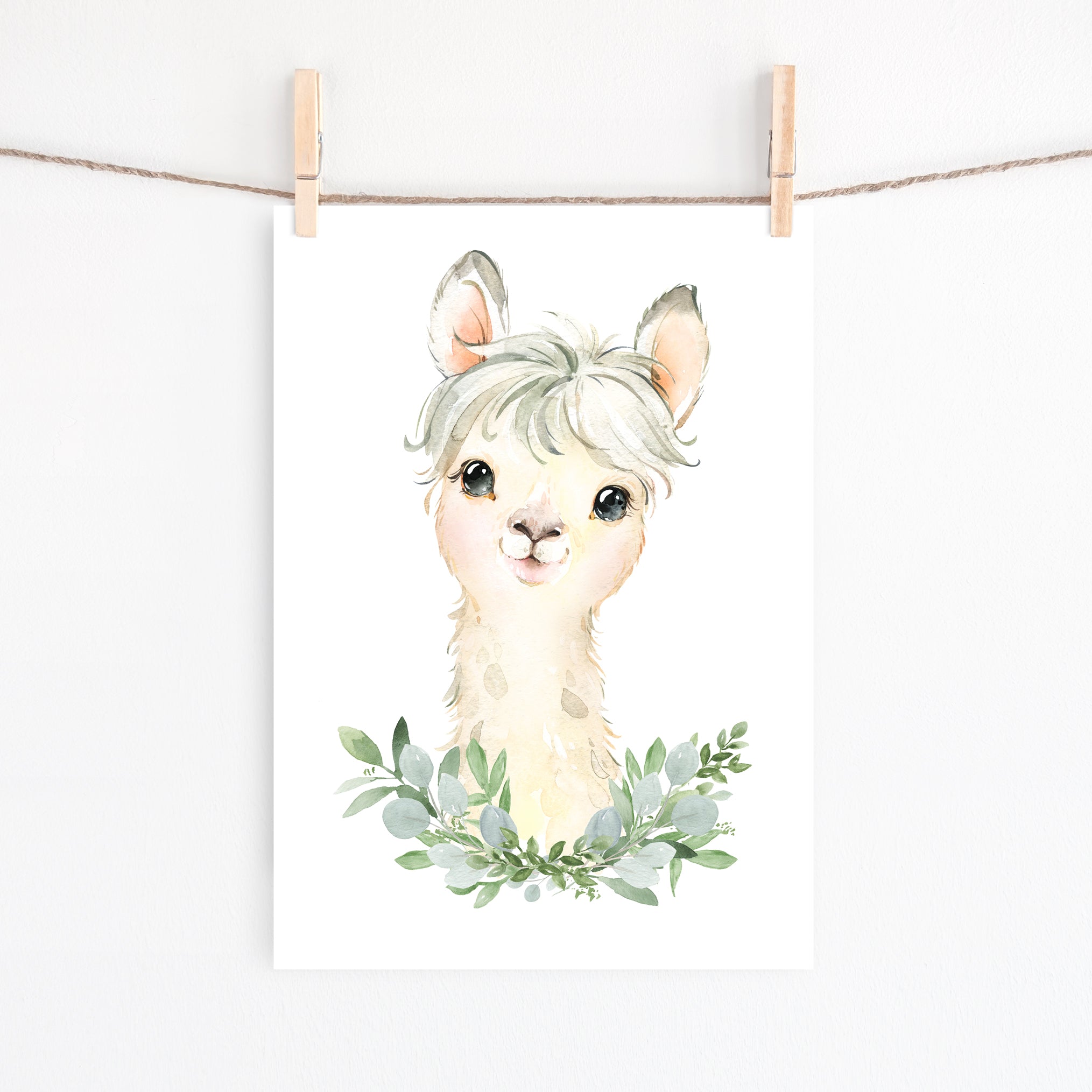 Baby Alpaca Print