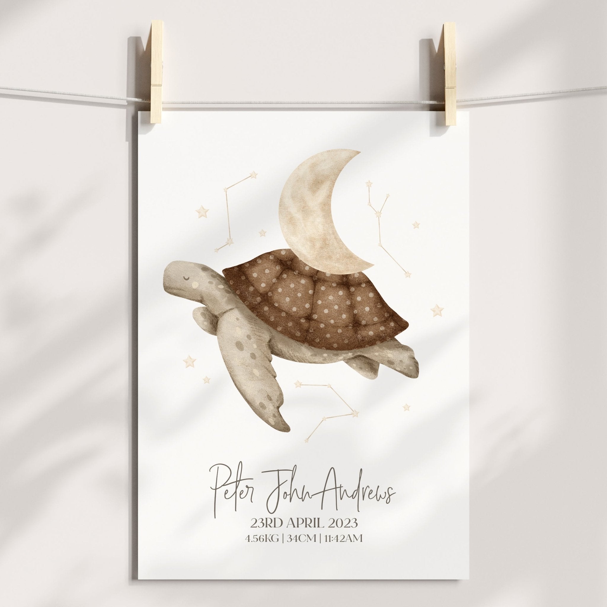 Boho Turtle Birth Print