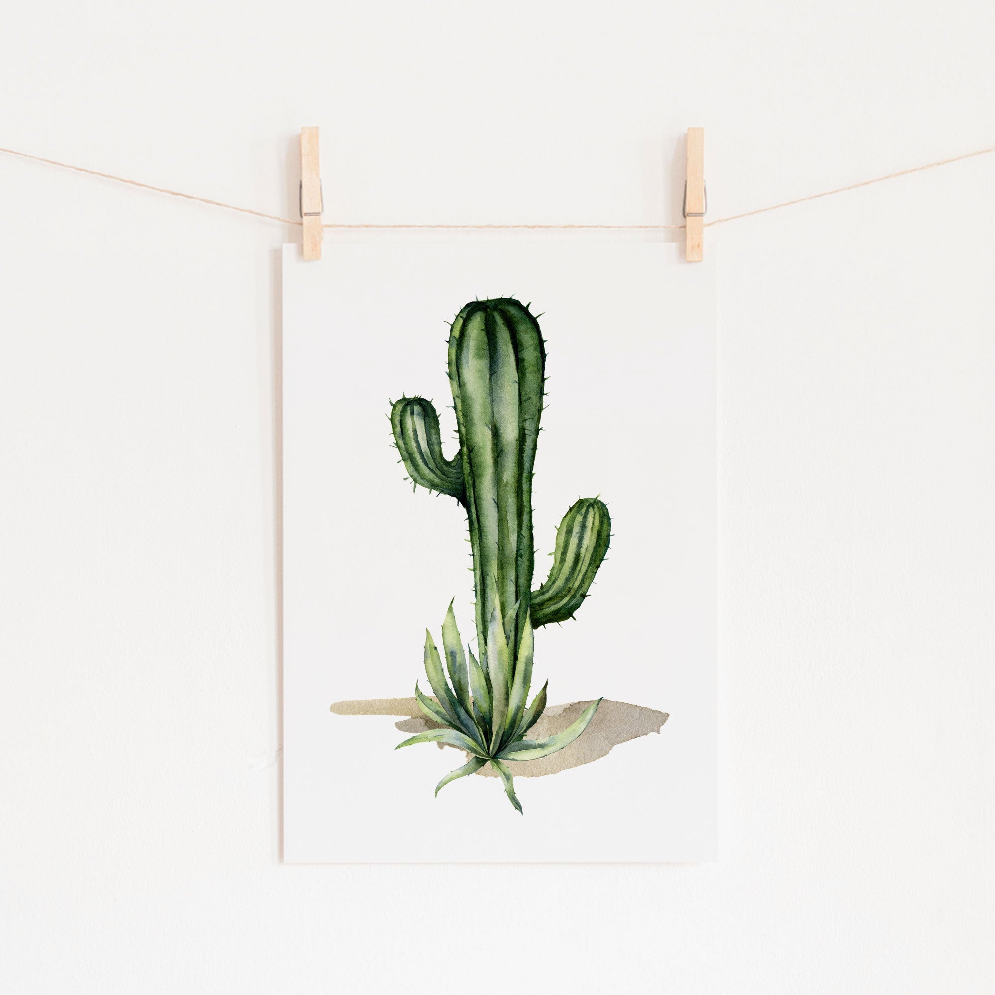 Cactus Print